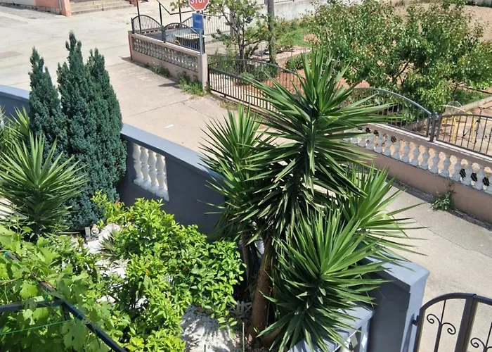 Mira * ביבינייה